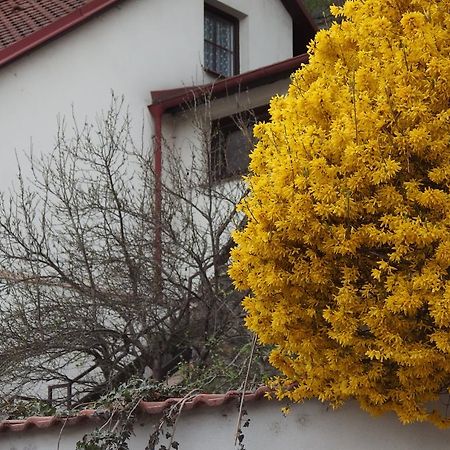 Apartmány u Koček Tábor Esterno foto
