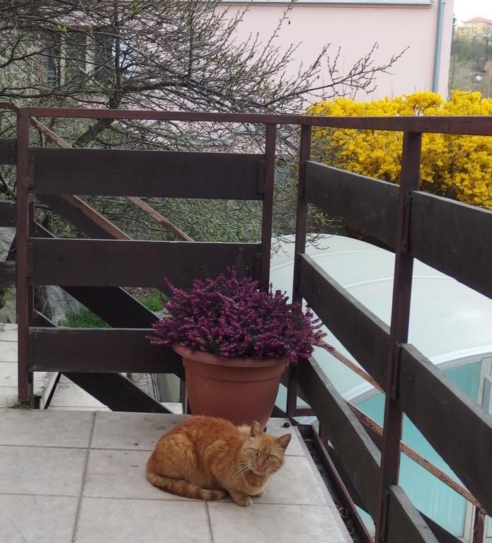 Apartmány u Koček Tábor Esterno foto