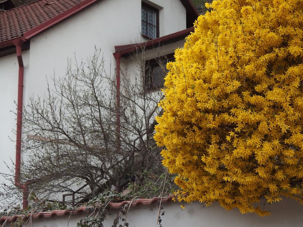 Apartmány u Koček Tábor Esterno foto